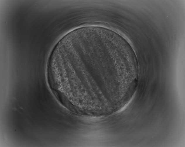 X0000088921533200707061354
