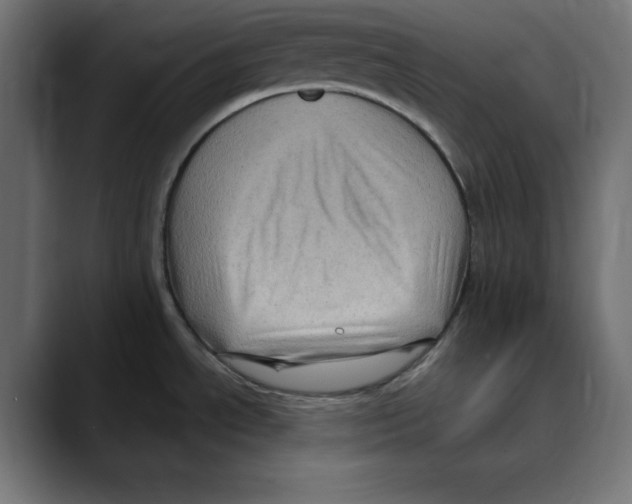 X0000088921534200707061354