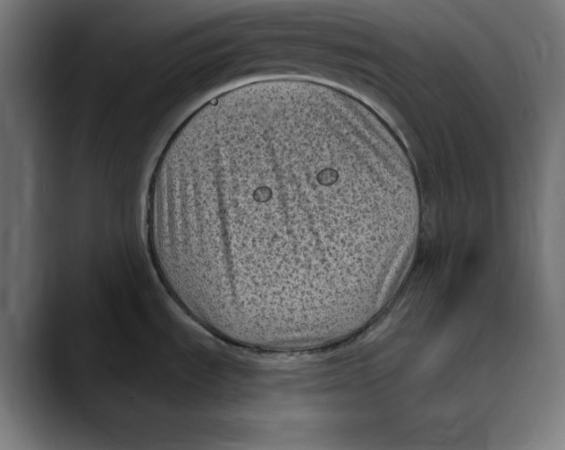 X0000088921535200707061354