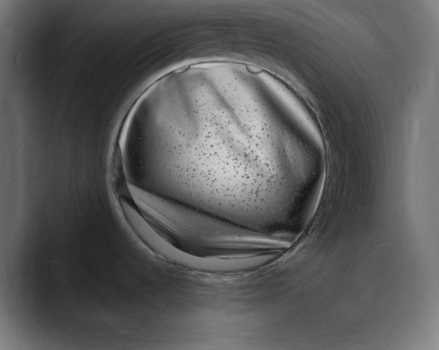 X0000088921536200707061354