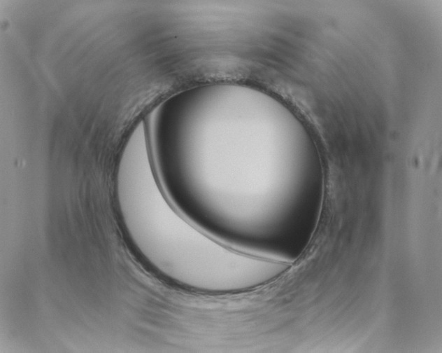 X0000089340017200706150832