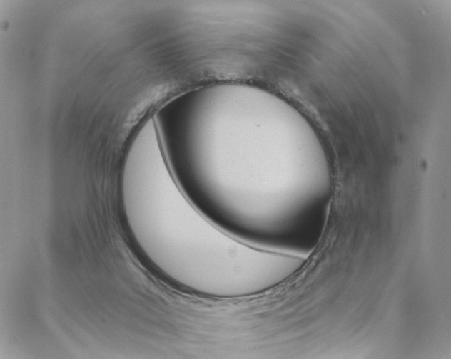 X0000089340019200706150832