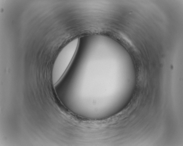X0000089340025200706150832