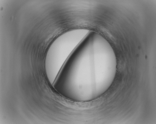 X0000089340027200706150832