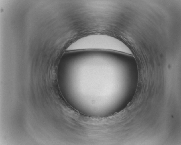 X0000089340037200706150831