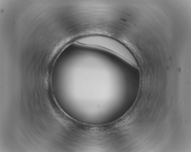 X0000089340064200706150831