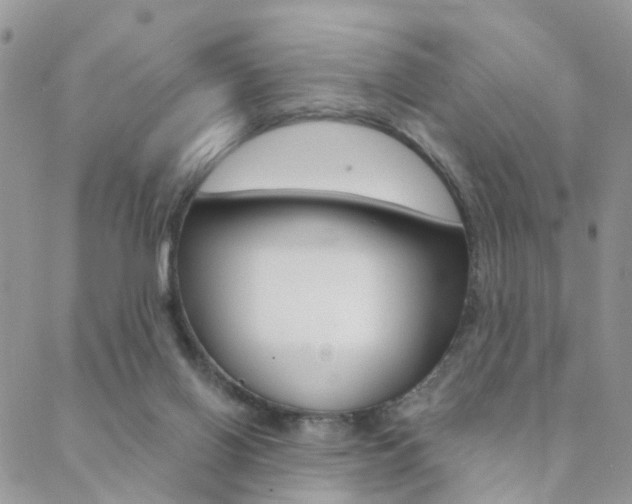 X0000089340070200706150831