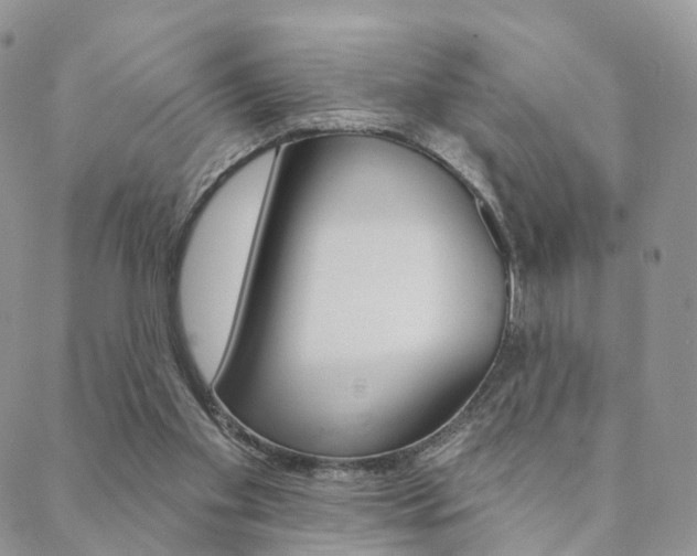 X0000089340109200706150830