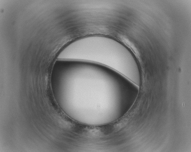 X0000089340113200706150830