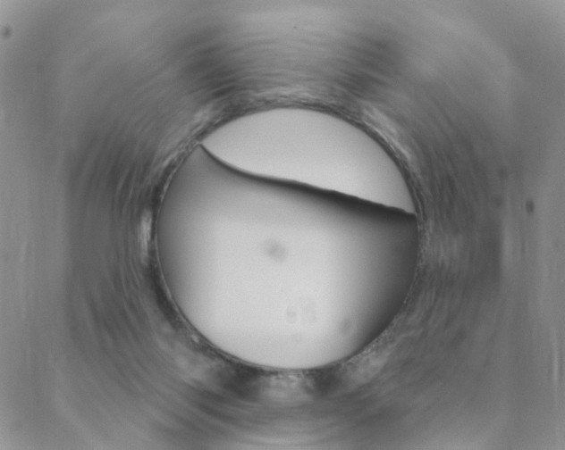 X0000089340118200706150830