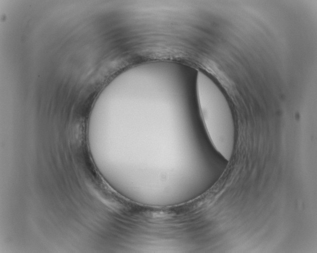 X0000089340165200706150829