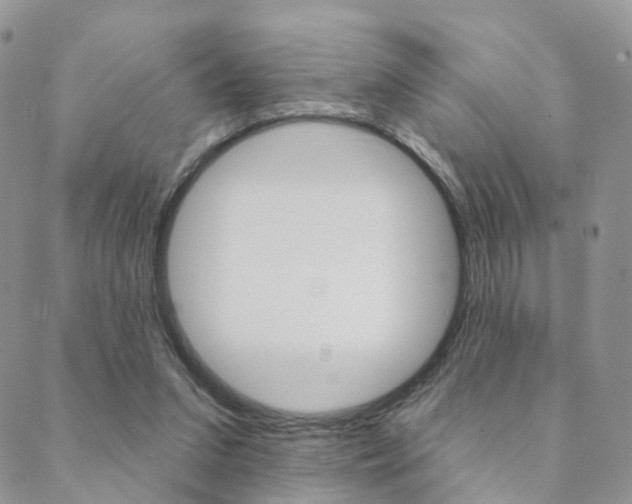 X0000089340207200706150829