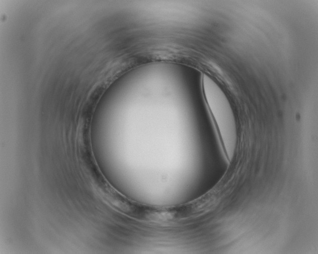 X0000089340217200706150829