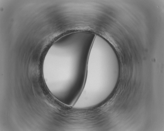 X0000089340252200706150828