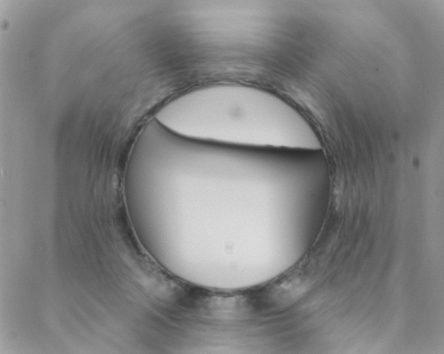 X0000089340314200706150827