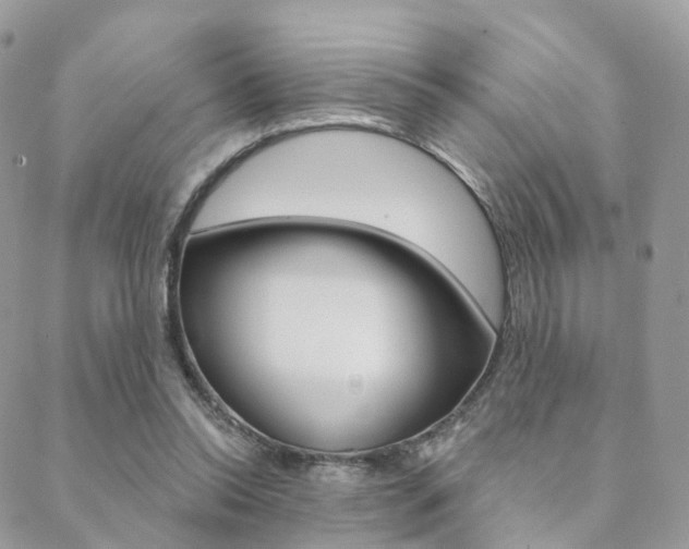 X0000089340350200706150826
