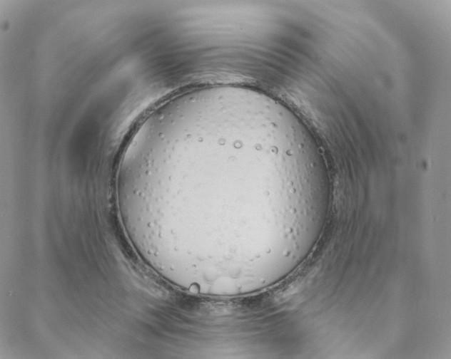 X0000089340351200706150826