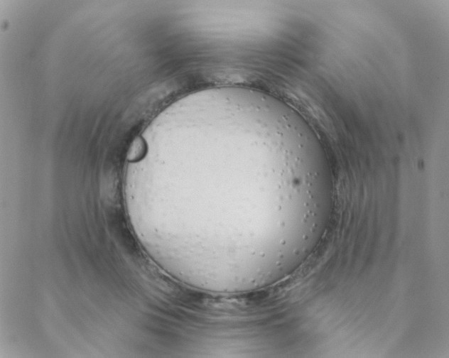 X0000089340359200706150826