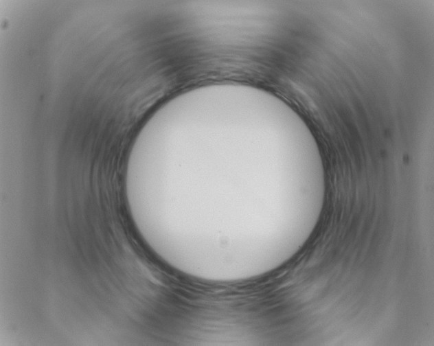 X0000089340364200706150826