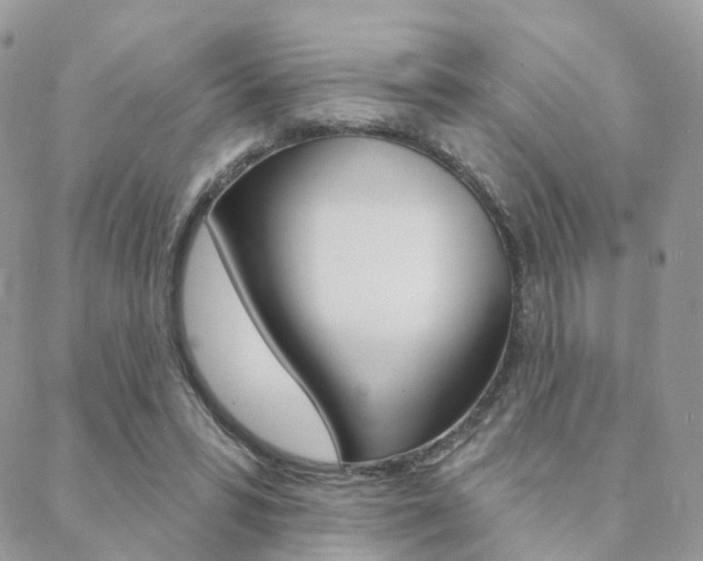 X0000089340399200706150826