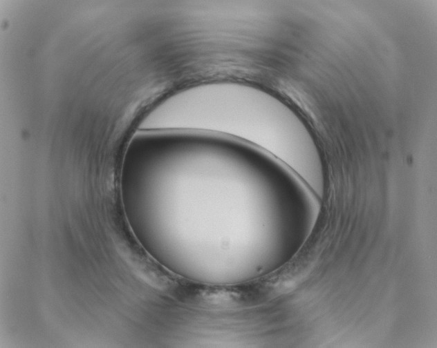 X0000089340407200706150825