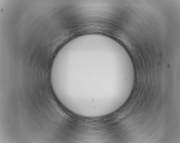 X0000089340411200706150825
