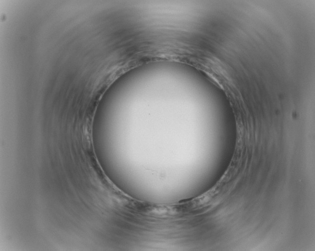 X0000089340415200706150825