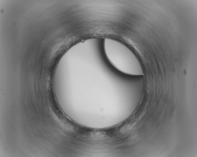 X0000089340451200706150825