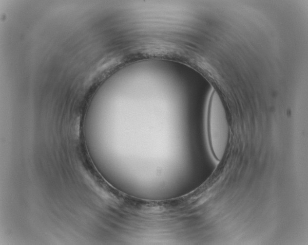 X0000089340454200706150825