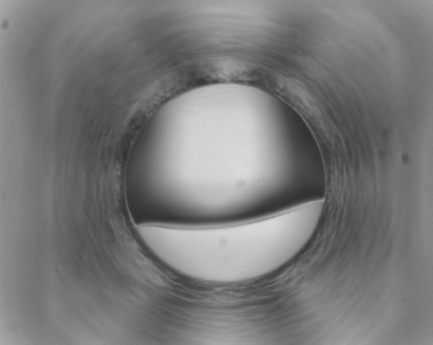 X0000089340461200706150825