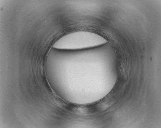 X0000089340506200706150824