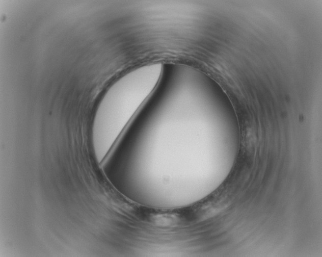 X0000089340508200706150824