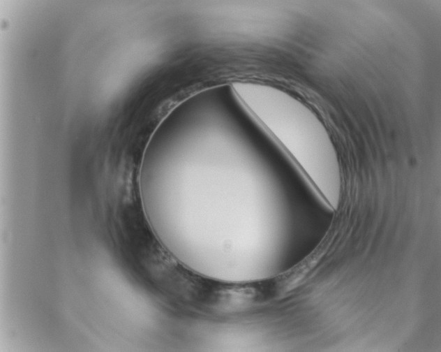 X0000089340525200706150823