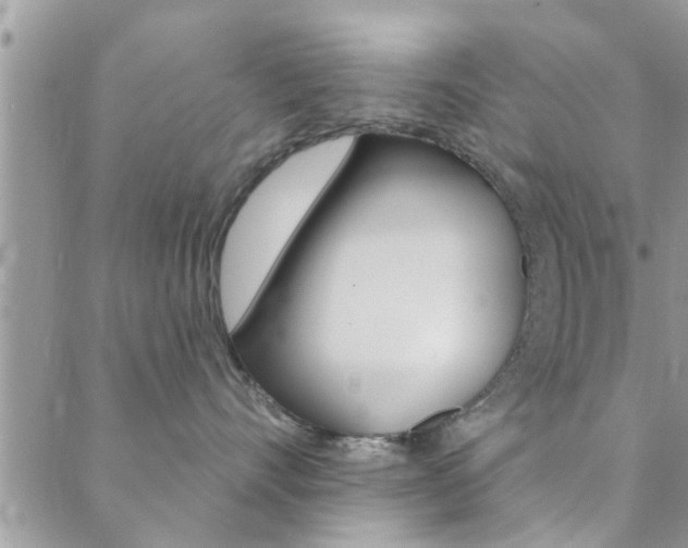 X0000089340528200706150823