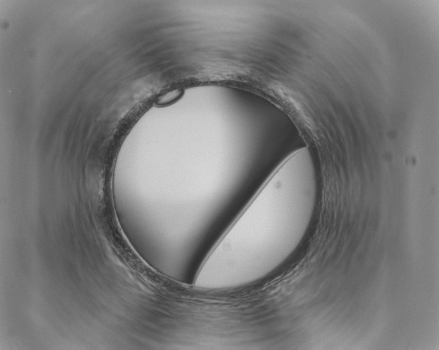 X0000089340539200706150823