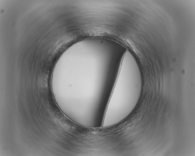 X0000089340543200706150823