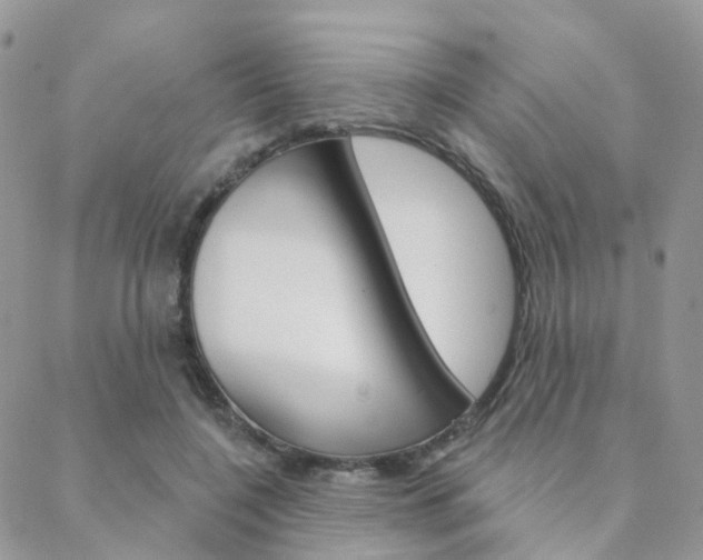 X0000089340548200706150823