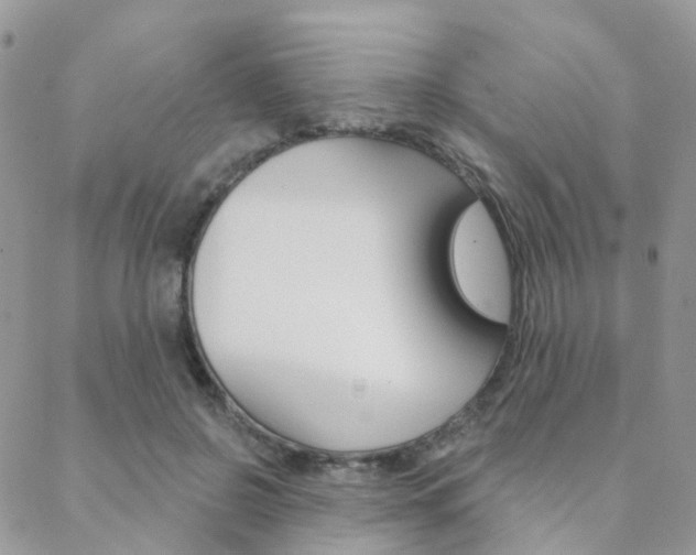 X0000089340550200706150823