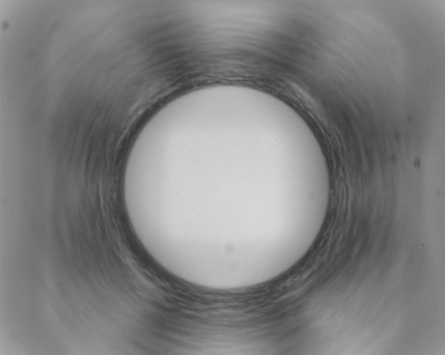 X0000089340552200706150823