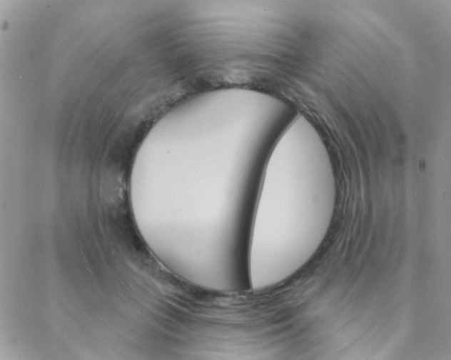 X0000089340555200706150823