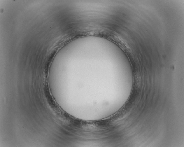 X0000089340594200706150822