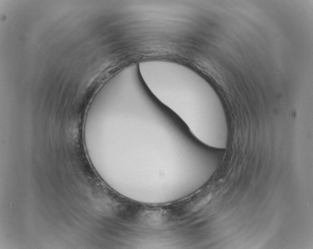 X0000089340595200706150822