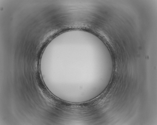 X0000089340636200706150821