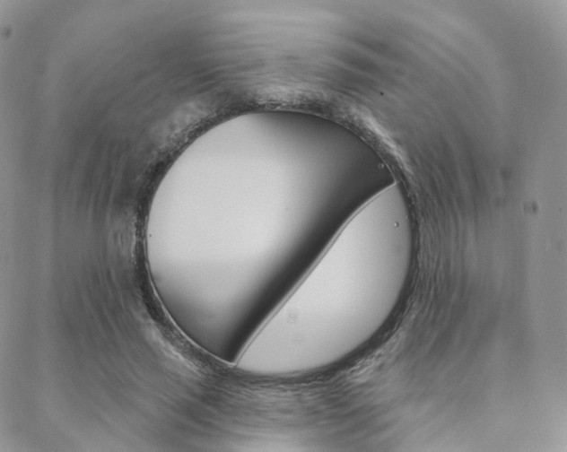 X0000089340637200706150821