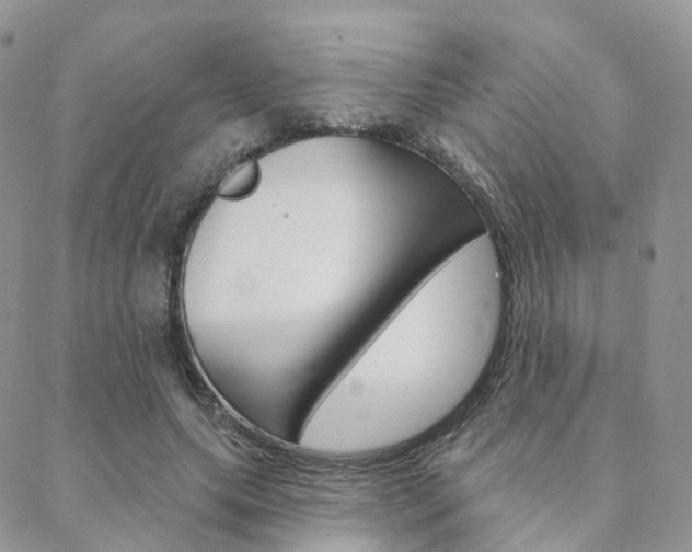 X0000089340639200706150821