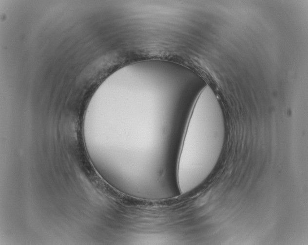 X0000089340643200706150821