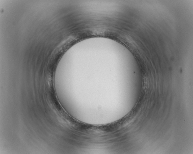 X0000089340648200706150821