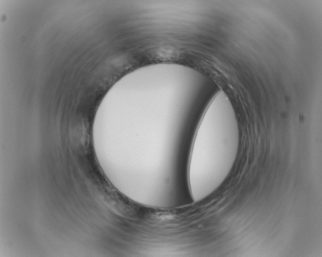 X0000089340651200706150822