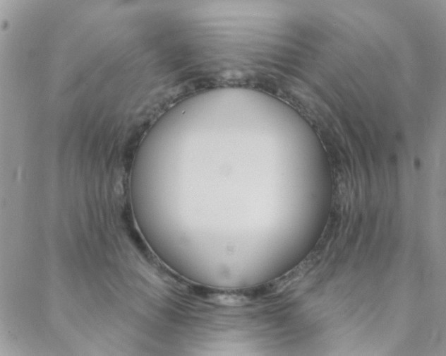 X0000089340654200706150822