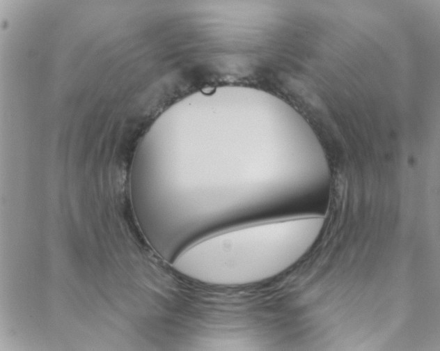 X0000089340657200706150822